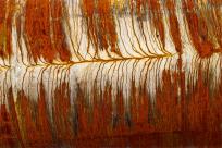 Ostrawa: Przemysłowe Serce, Muzyczna Dusza i Moja Fotograficzna Podróż przez Dolní Vítkovice