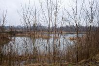 Pozycja Górnośląska: Bunkry Regelbau 116A w Zbrosławicach - Opowieść o mrocznych dziejach Europy