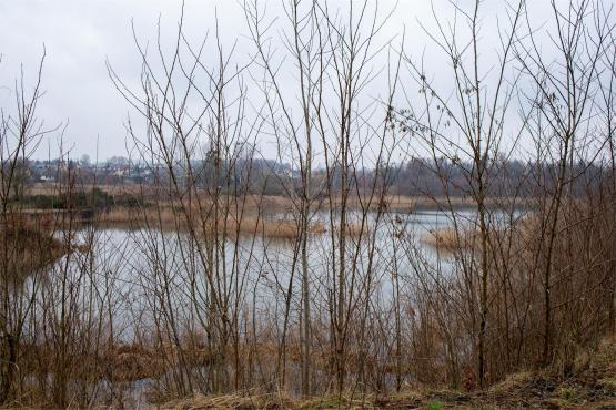 Pozycja Górnośląska: Bunkry Regelbau 116A w Zbrosławicach - Opowieść o mrocznych dziejach Europy