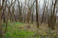 Pozycja Górnośląska: Bunkry Regelbau 116A w Zbrosławicach - Opowieść o mrocznych dziejach Europy