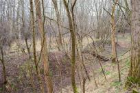 Pozycja Górnośląska: Bunkry Regelbau 116A w Zbrosławicach - Opowieść o mrocznych dziejach Europy