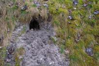 Pozycja Górnośląska: Bunkry Regelbau 116A w Zbrosławicach - Opowieść o mrocznych dziejach Europy