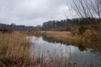 Pozycja Górnośląska: Bunkry Regelbau 116A w Zbrosławicach - Opowieść o mrocznych dziejach Europy
