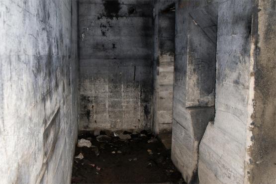 Pozycja Górnośląska: Bunkry Regelbau 116A w Zbrosławicach - Opowieść o mrocznych dziejach Europy