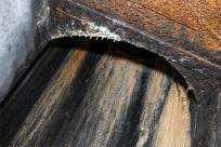 Pozycja Górnośląska: Bunkry Regelbau 116A w Zbrosławicach - Opowieść o mrocznych dziejach Europy