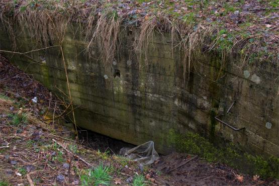 Pozycja Górnośląska: Bunkry Regelbau 116A w Zbrosławicach - Opowieść o mrocznych dziejach Europy