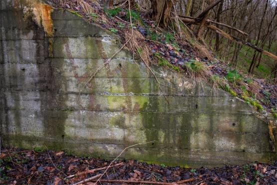 Pozycja Górnośląska: Bunkry Regelbau 116A w Zbrosławicach - Opowieść o mrocznych dziejach Europy