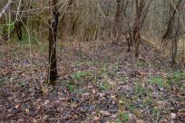 Pozycja Górnośląska: Bunkry Regelbau 116A w Zbrosławicach - Opowieść o mrocznych dziejach Europy