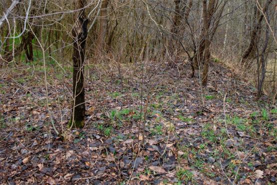 Pozycja Górnośląska: Bunkry Regelbau 116A w Zbrosławicach - Opowieść o mrocznych dziejach Europy