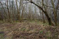 Pozycja Górnośląska: Bunkry Regelbau 116A w Zbrosławicach - Opowieść o mrocznych dziejach Europy