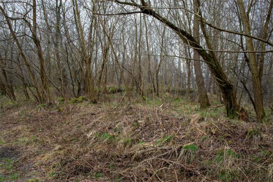 Pozycja Górnośląska: Bunkry Regelbau 116A w Zbrosławicach - Opowieść o mrocznych dziejach Europy