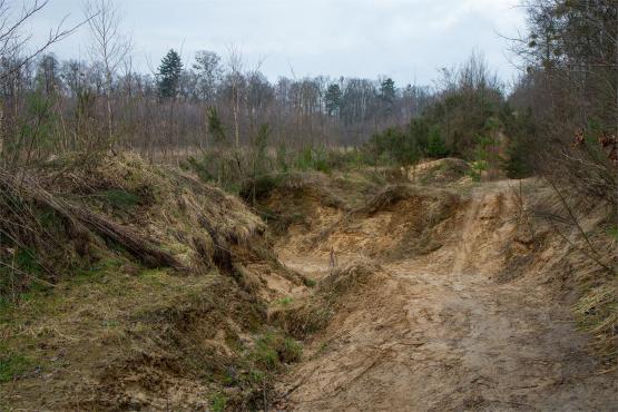 Pozycja Górnośląska: Bunkry Regelbau 116A w Zbrosławicach - Opowieść o mrocznych dziejach Europy