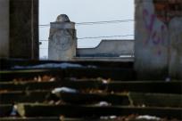 Cmentarze Żydowskie: Kamienne Świadectwa Historii i Pamięci