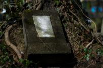 Cmentarze Żydowskie: Kamienne Świadectwa Historii i Pamięci