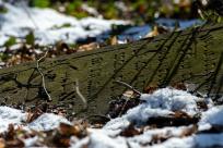 Cmentarze Żydowskie: Kamienne Świadectwa Historii i Pamięci