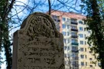 Cmentarze Żydowskie: Kamienne Świadectwa Historii i Pamięci