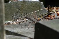 Cmentarze Żydowskie: Kamienne Świadectwa Historii i Pamięci