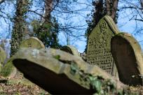 Cmentarze Żydowskie: Kamienne Świadectwa Historii i Pamięci