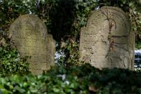 Cmentarze Żydowskie: Kamienne Świadectwa Historii i Pamięci