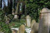 Cmentarze Żydowskie: Kamienne Świadectwa Historii i Pamięci