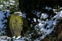 Cmentarze Żydowskie: Kamienne Świadectwa Historii i Pamięci