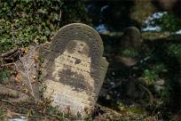 Cmentarze Żydowskie: Kamienne Świadectwa Historii i Pamięci