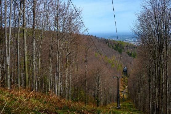 Beskid Śląski: Tajemnicze Ruiny Schroniska „Magura – Kąpielisko”