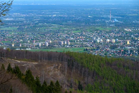 Beskid Śląski: Tajemnicze Ruiny Schroniska „Magura – Kąpielisko”