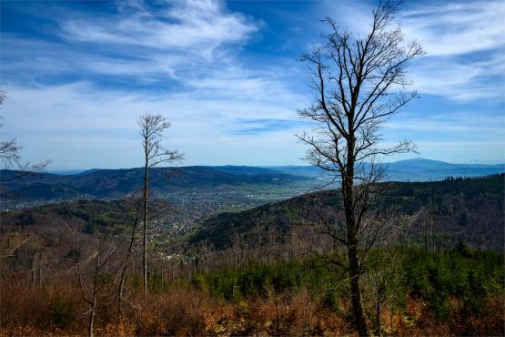 Beskid Śląski: Tajemnicze Ruiny Schroniska „Magura – Kąpielisko”