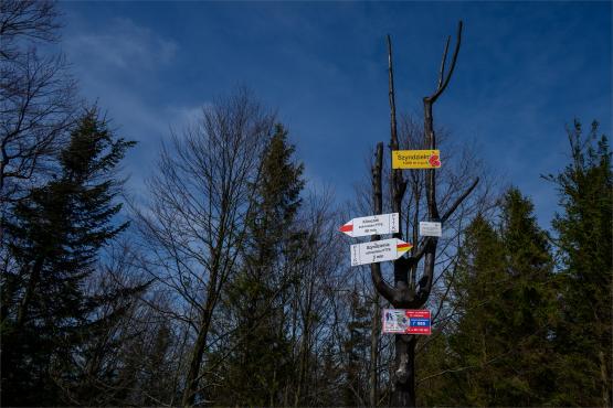 Beskid Śląski: Tajemnicze Ruiny Schroniska „Magura – Kąpielisko”