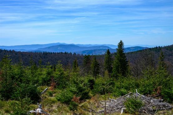 Beskid Śląski: Tajemnicze Ruiny Schroniska „Magura – Kąpielisko”