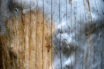 Beskid Śląski: Tajemnicze Ruiny Schroniska „Magura – Kąpielisko” Beskid Śląski: Tajemnicze Ruiny Schroniska „Magura – Kąpielisko”