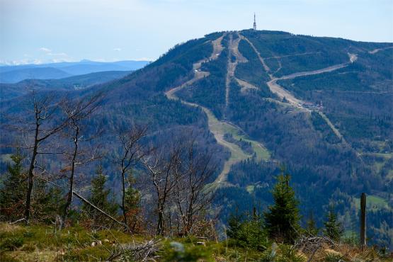 Beskid Śląski: Tajemnicze Ruiny Schroniska „Magura – Kąpielisko”