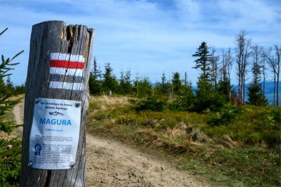 Beskid Śląski: Tajemnicze Ruiny Schroniska „Magura – Kąpielisko”