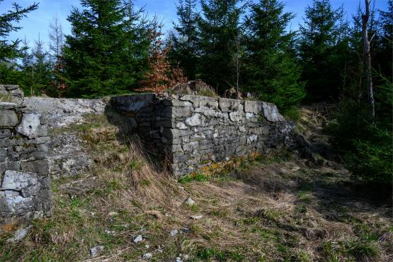 Beskid Śląski: Tajemnicze Ruiny Schroniska „Magura – Kąpielisko”