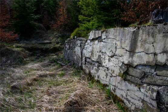 Beskid Śląski: Tajemnicze Ruiny Schroniska „Magura – Kąpielisko”