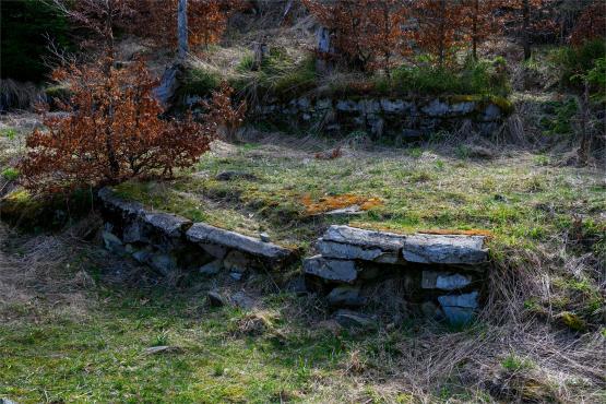 Beskid Śląski: Tajemnicze Ruiny Schroniska „Magura – Kąpielisko”