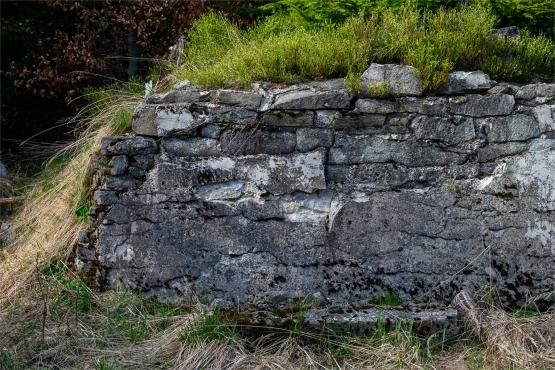 Beskid Śląski: Tajemnicze Ruiny Schroniska „Magura – Kąpielisko”