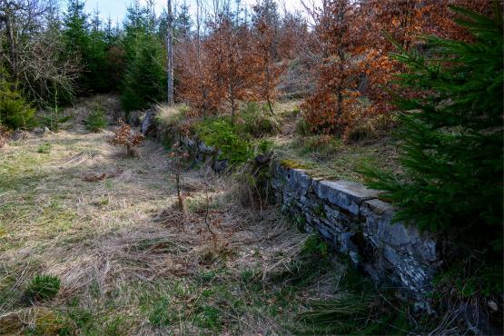 Beskid Śląski: Tajemnicze Ruiny Schroniska „Magura – Kąpielisko”