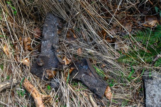 Beskid Śląski: Tajemnicze Ruiny Schroniska „Magura – Kąpielisko”