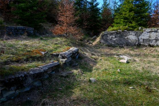 Beskid Śląski: Tajemnicze Ruiny Schroniska „Magura – Kąpielisko”