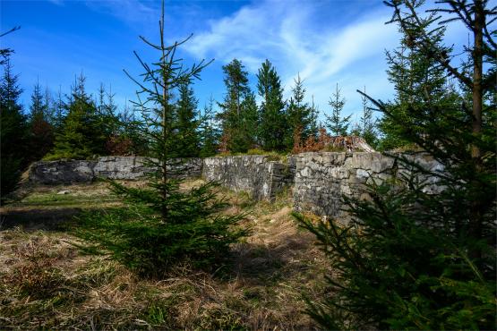 Beskid Śląski: Tajemnicze Ruiny Schroniska „Magura – Kąpielisko”