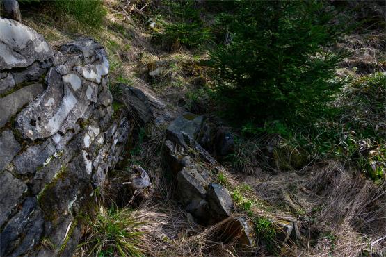 Beskid Śląski: Tajemnicze Ruiny Schroniska „Magura – Kąpielisko”