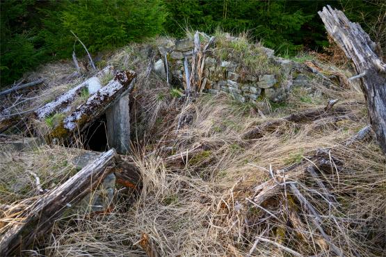 Beskid Śląski: Tajemnicze Ruiny Schroniska „Magura – Kąpielisko”