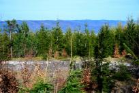 Beskid Śląski: Tajemnicze Ruiny Schroniska „Magura – Kąpielisko” Beskid Śląski: Tajemnicze Ruiny Schroniska „Magura – Kąpielisko”