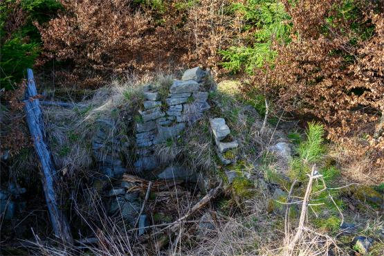 Beskid Śląski: Tajemnicze Ruiny Schroniska „Magura – Kąpielisko”