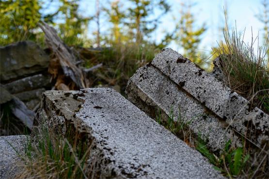 Beskid Śląski: Tajemnicze Ruiny Schroniska „Magura – Kąpielisko”