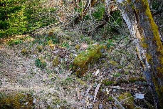 Beskid Śląski: Tajemnicze Ruiny Schroniska „Magura – Kąpielisko”