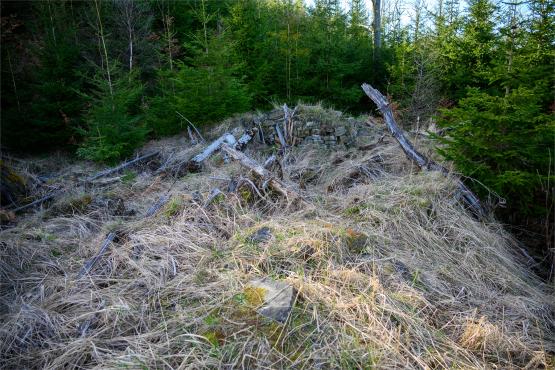 Beskid Śląski: Tajemnicze Ruiny Schroniska „Magura – Kąpielisko”