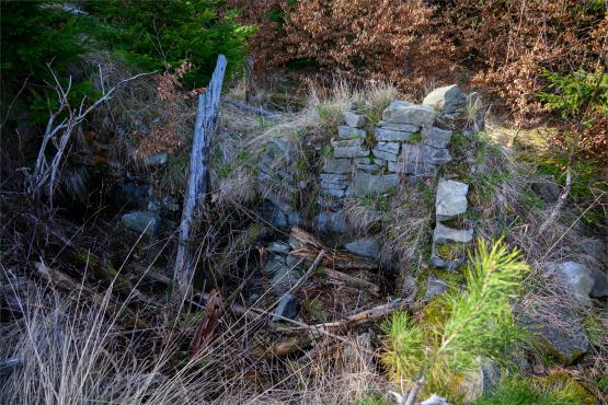 Beskid Śląski: Tajemnicze Ruiny Schroniska „Magura – Kąpielisko”